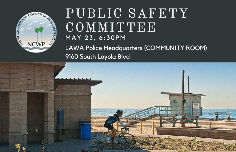 Public Safety Committee