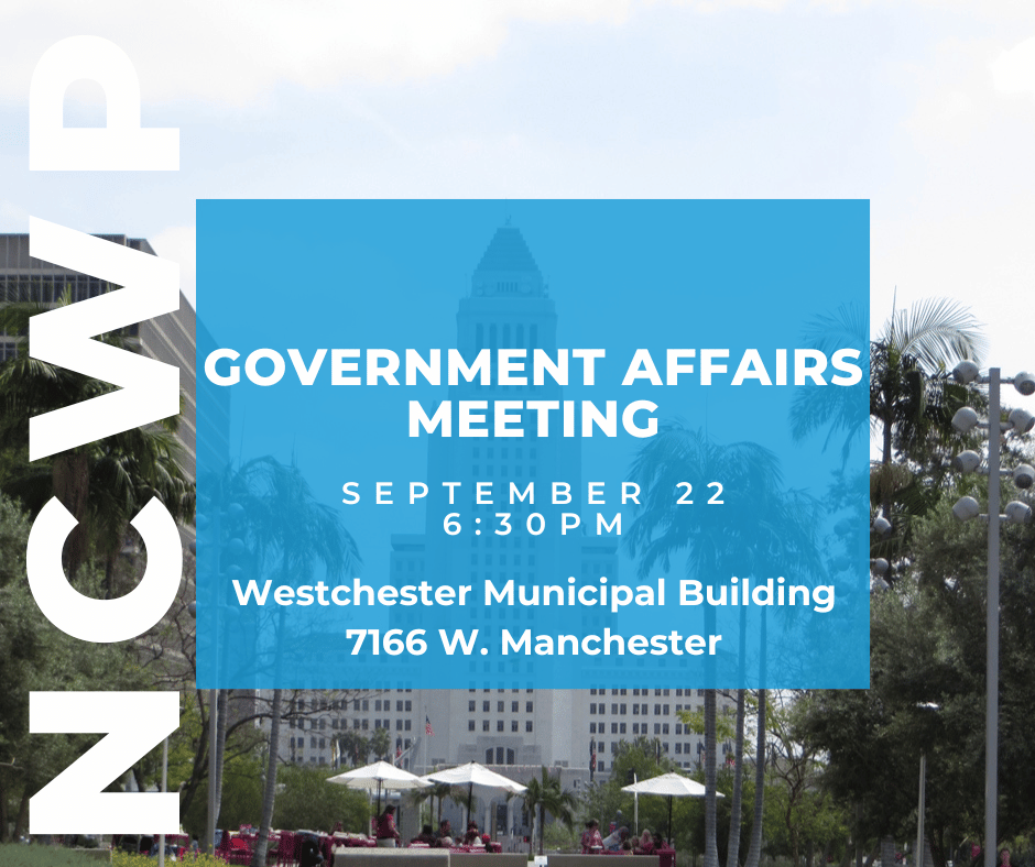 Gov affairs committee meeting