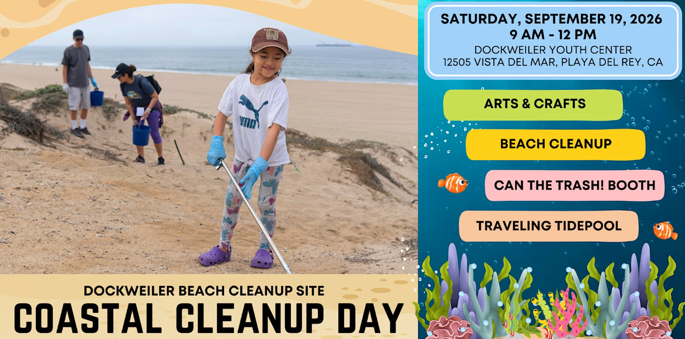coastal clean up